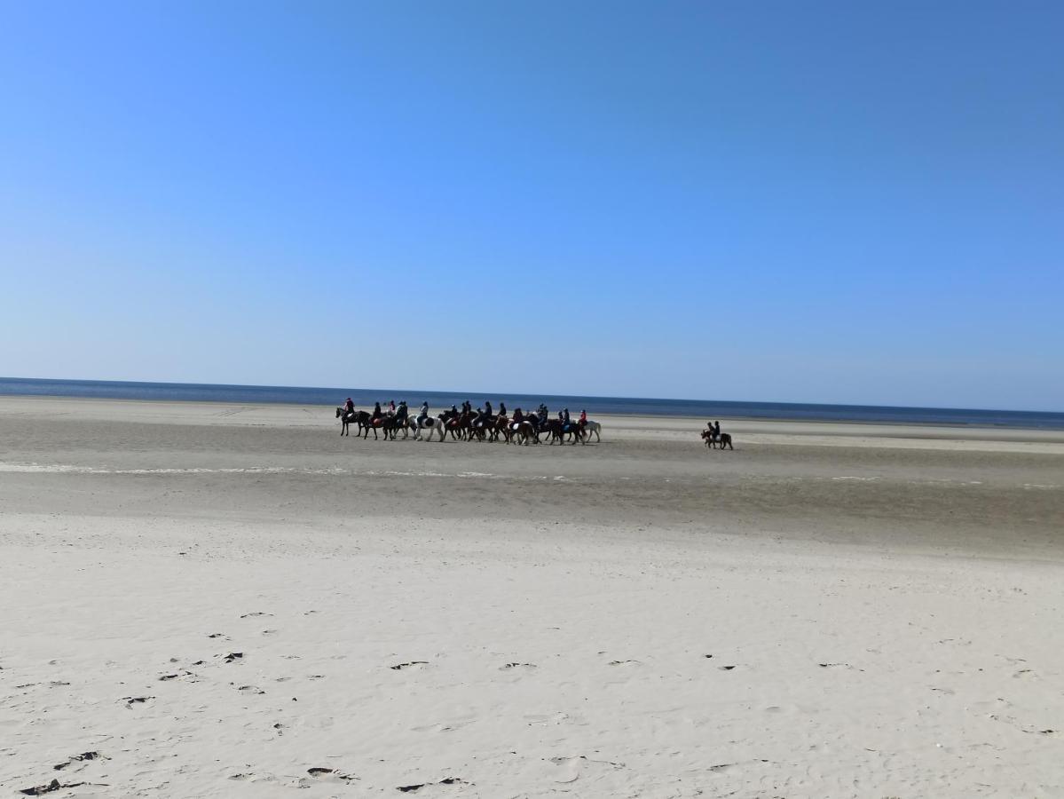 Gite Les Chalets Du Fliers Verton Meubles De Tourisme Classes 2 Etoiles Berck Екстериор снимка