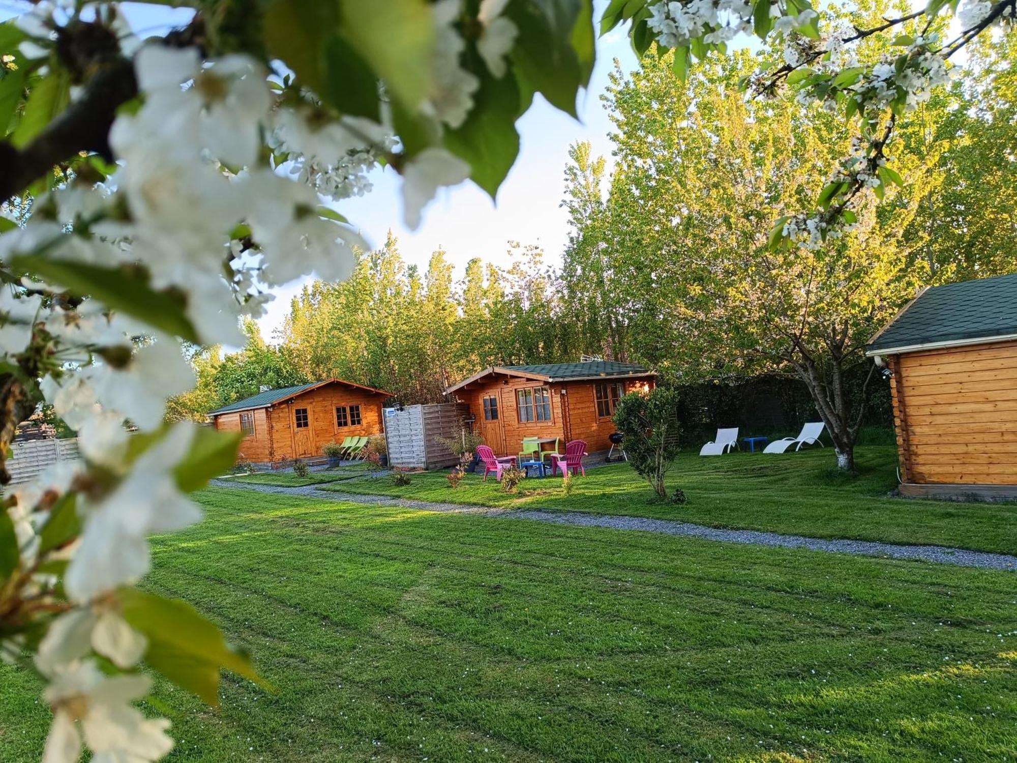 Gite Les Chalets Du Fliers Verton Meubles De Tourisme Classes 2 Etoiles Berck Стая снимка